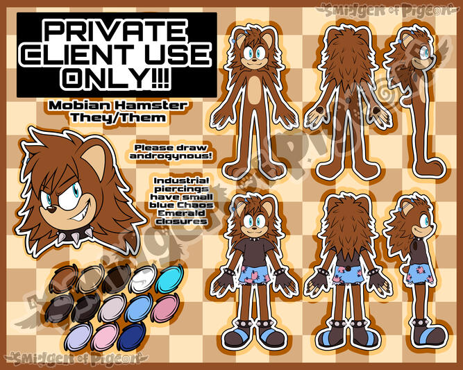 Sonic OC Sonic OC